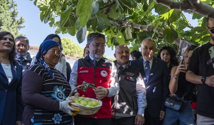 Tarım ve Orman Bakanı Yumaklı: Türkiye, dünya incir üretiminde yüzde 28'lik oranla birinci sırada.