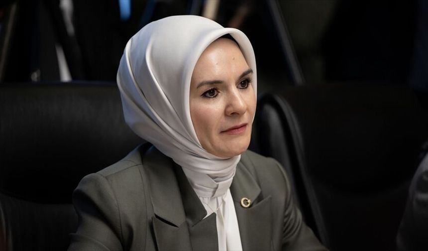 Bakan Göktaş: Gazi Kimlik Kartları'nı teslim etmeye başladık