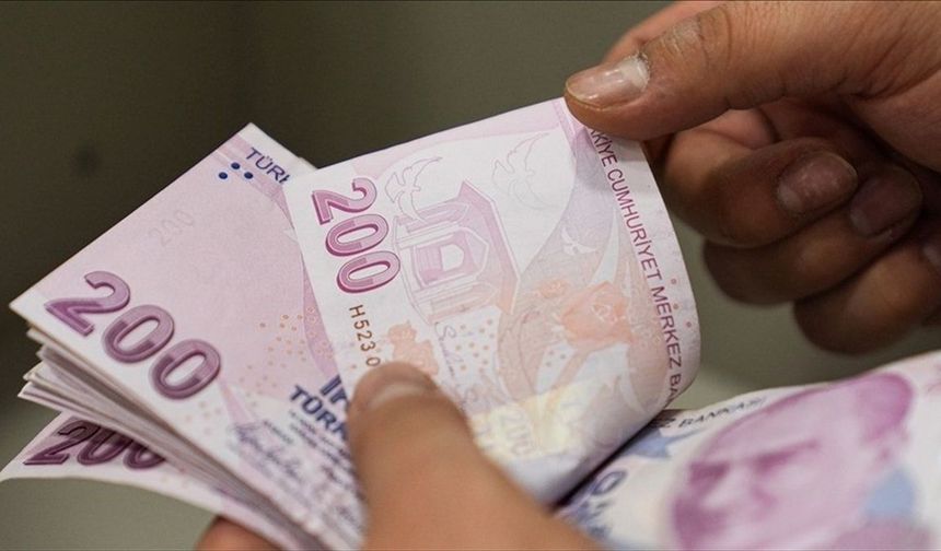 Türkiye'de tasarruf finansman sektörünün işlem hacmi 1,2 trilyon lirayı aştı