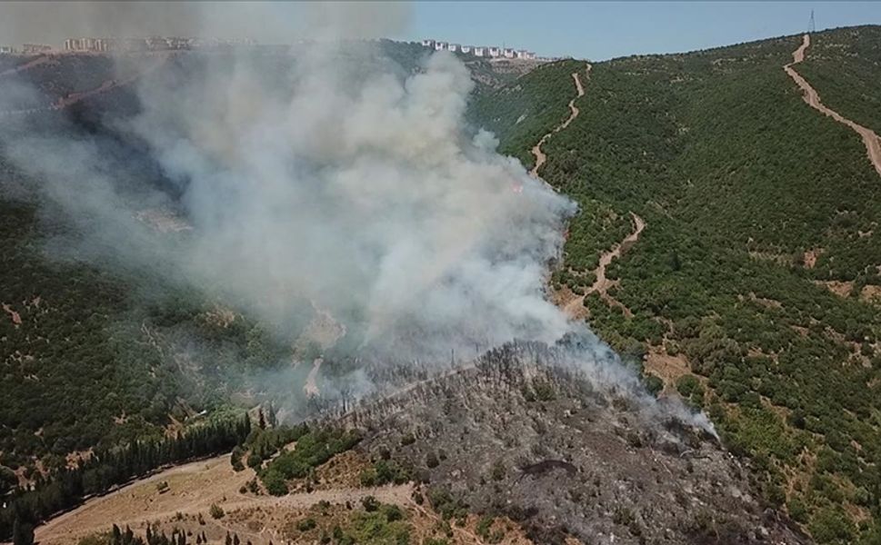 Kocaeli'de makilik ve ağaçlık alanda çıkan yangına müdahale ediliyor