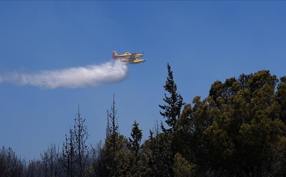 İzmir'in Aliağa ilçesinde çıkan orman yangınına müdahale ediliyor