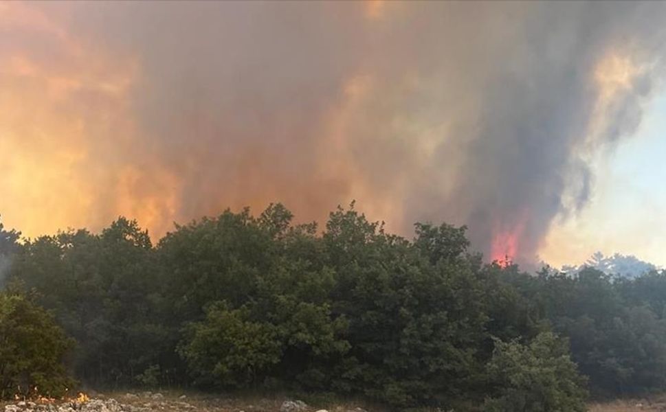 Eskişehir'de çıkan orman yangınına müdahale ediliyor