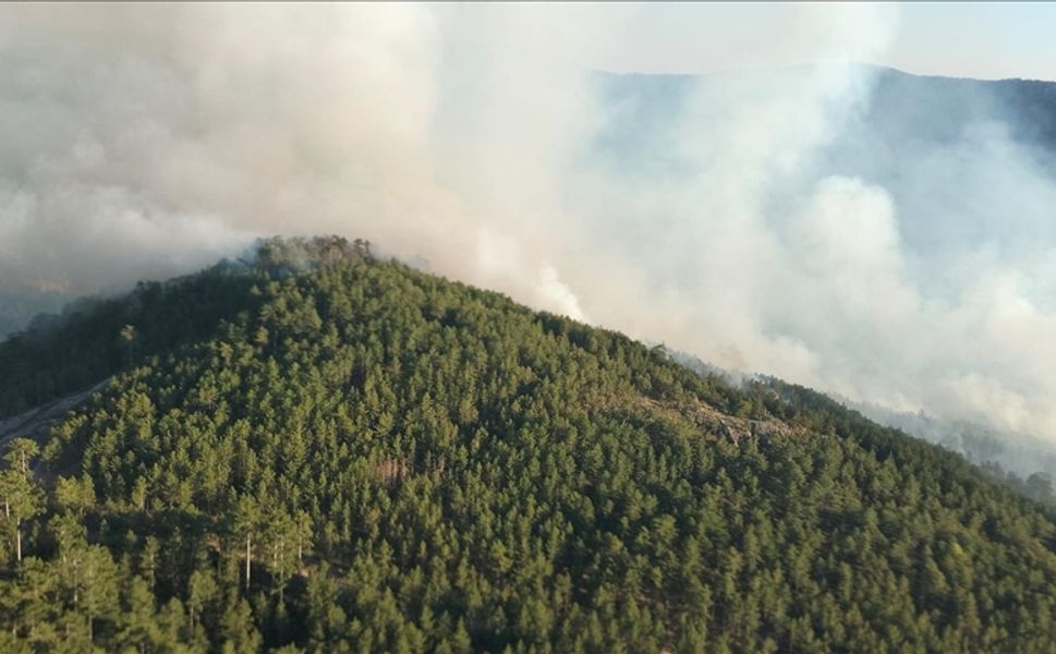 Balıkesir'de çıkan orman yangınına müdahale sürüyor