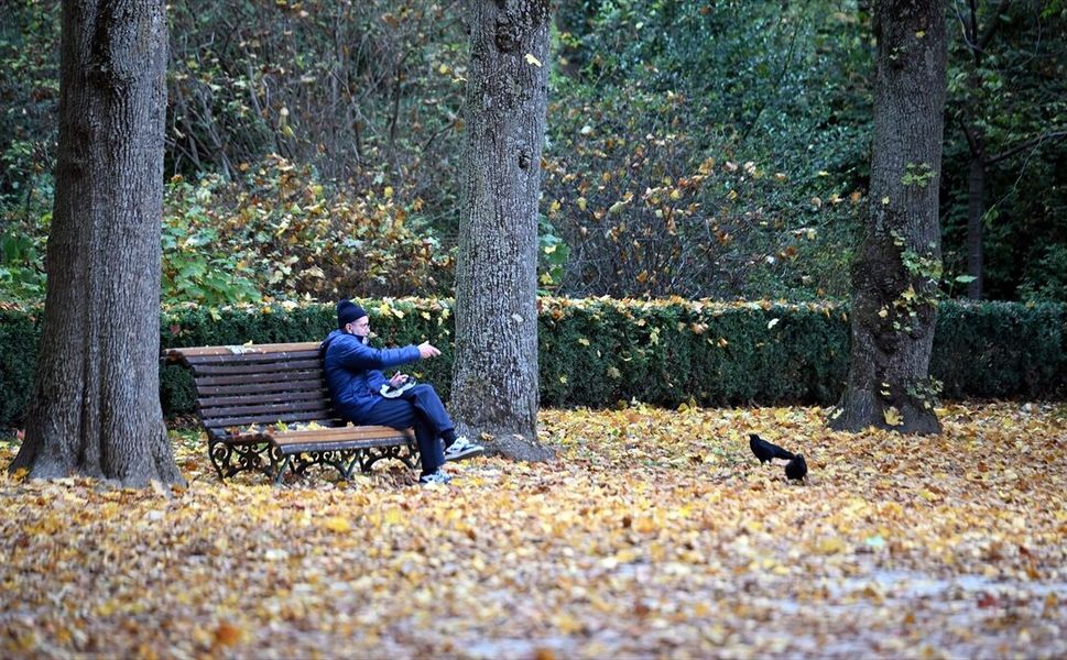 Brüksel'in nüfusu 2025'te yalnızca 39 kişi arttı