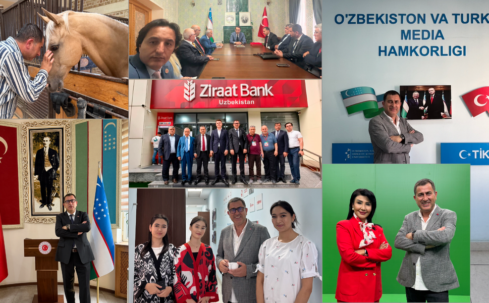 Ahal Teke'nin gözlerinde Türkistan'ı gördüm
