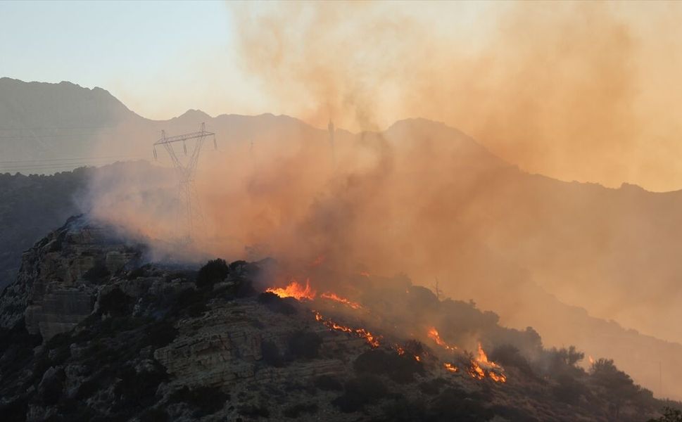 Girit Adası'nda orman yangını çıktı