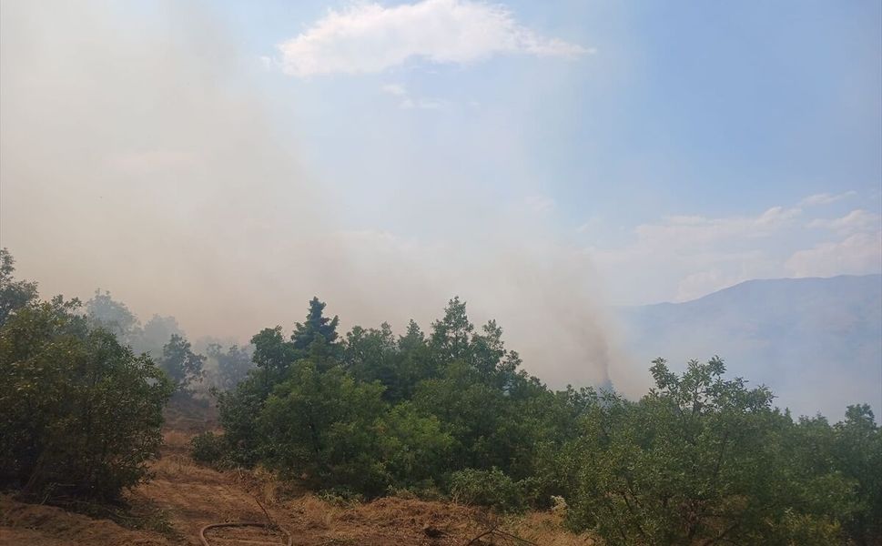 Pütürge'de çıkan orman yangınına müdahale ediliyor