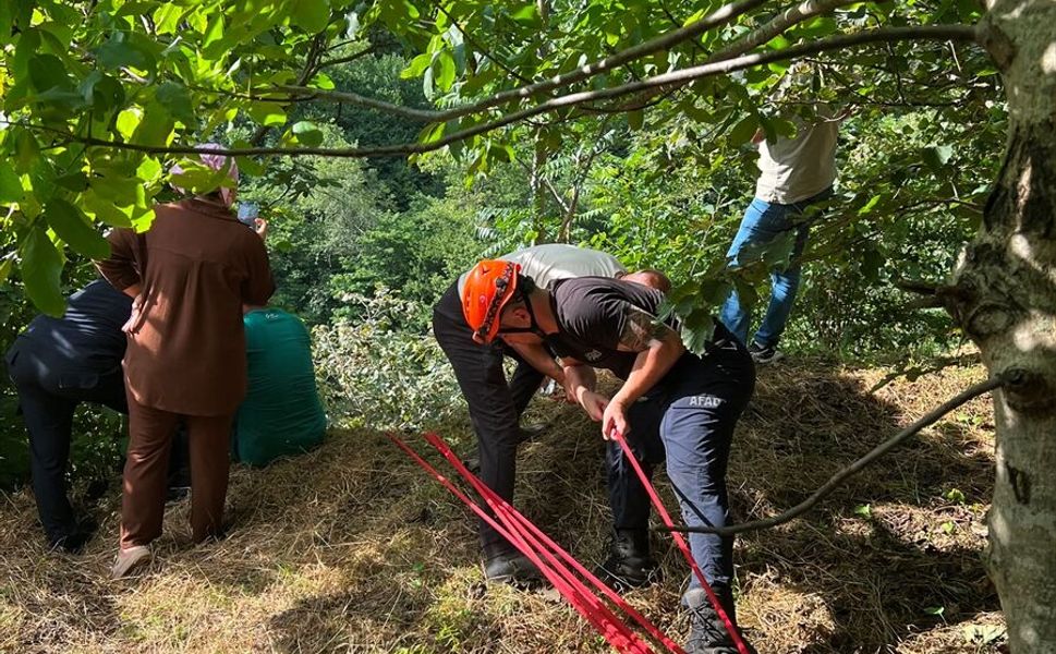 Trabzon'da yamaçtan yuvarlanan inek kurtarıldı
