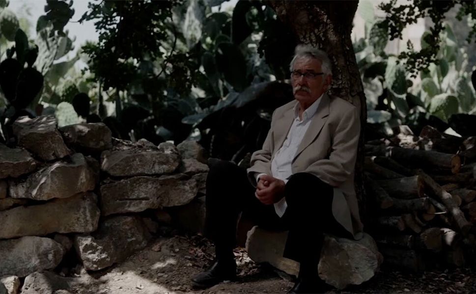 TRT ortak yapımı 'Kesilmiş Bir Ağaç Gibi' Türkiye'nin Oscar adayı oldu