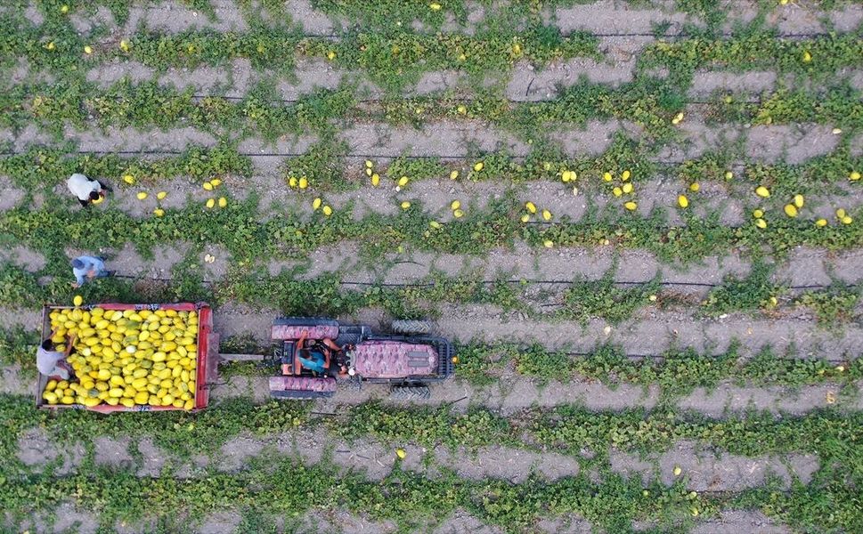Bakan Yumaklı, 688 milyon 200 bin lira tarımsal destekleme ödemesinin bugün yapılacağını bildirdi