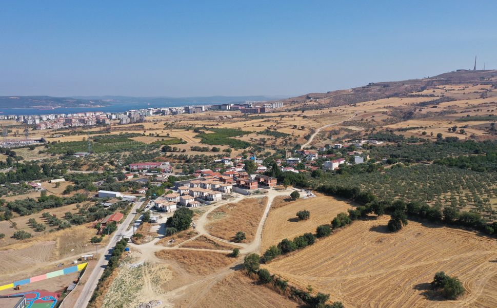 Biyoçeşitliliğe zarar veren orman yangınlarının önlenmesinde kuru ot temizliği önemli