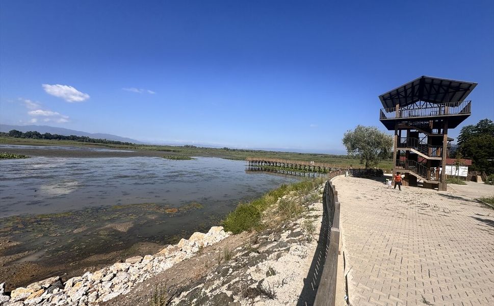 Efteni Gölü Kuş Cenneti hafta sonunda doğaseverleri ağırladı