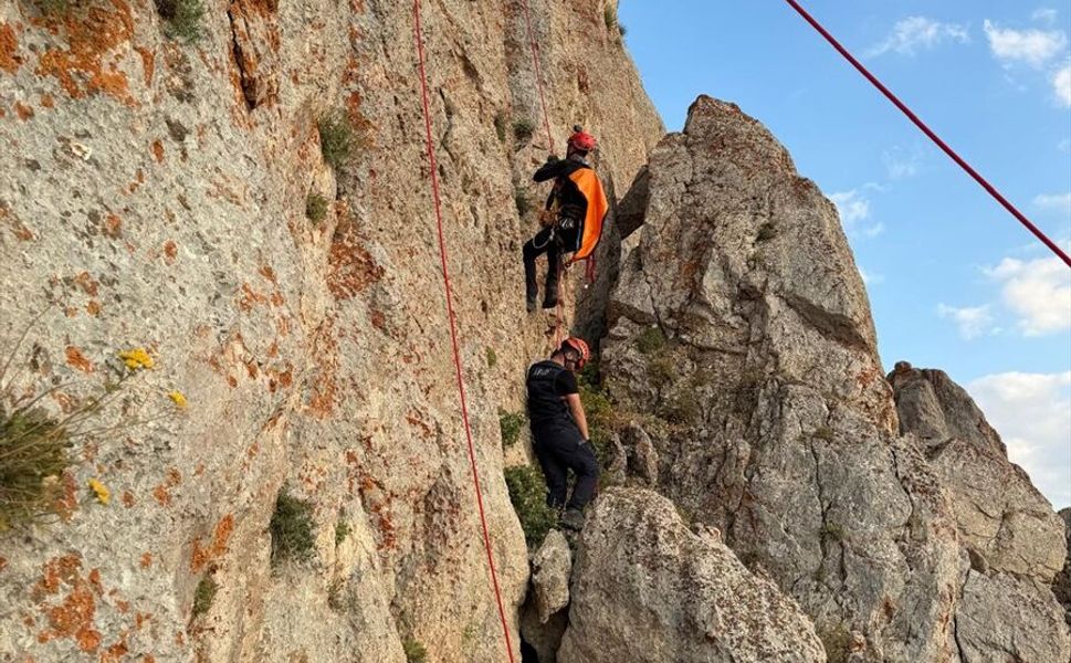 Şırnak'ta kayalıklarda mahsur kalan keçileri AFAD ekipleri kurtardı
