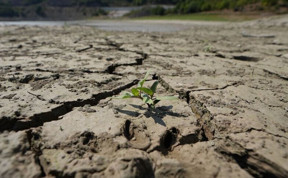 BM kuruluşlarından El Nino'ya karşı 'erken ve ciddiyetle harekete geçilmesi' çağrısı
