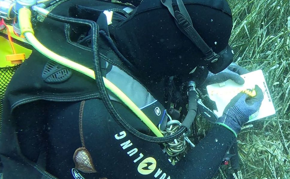 Deniz çayırlarının korunmasında yeni model