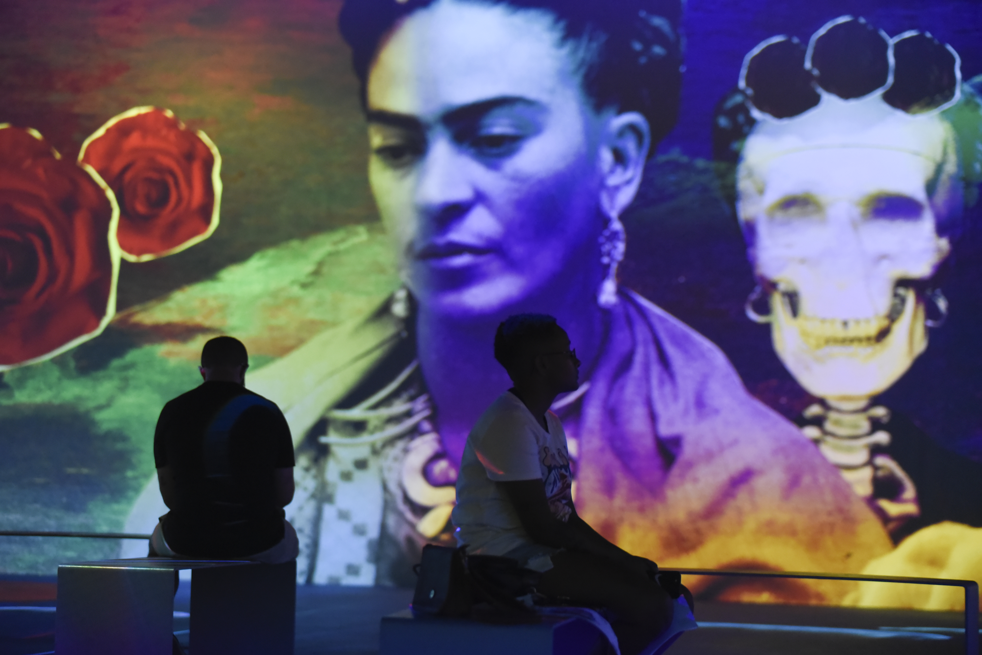 Brezilya'da dijital Frida Kahlo sergisi