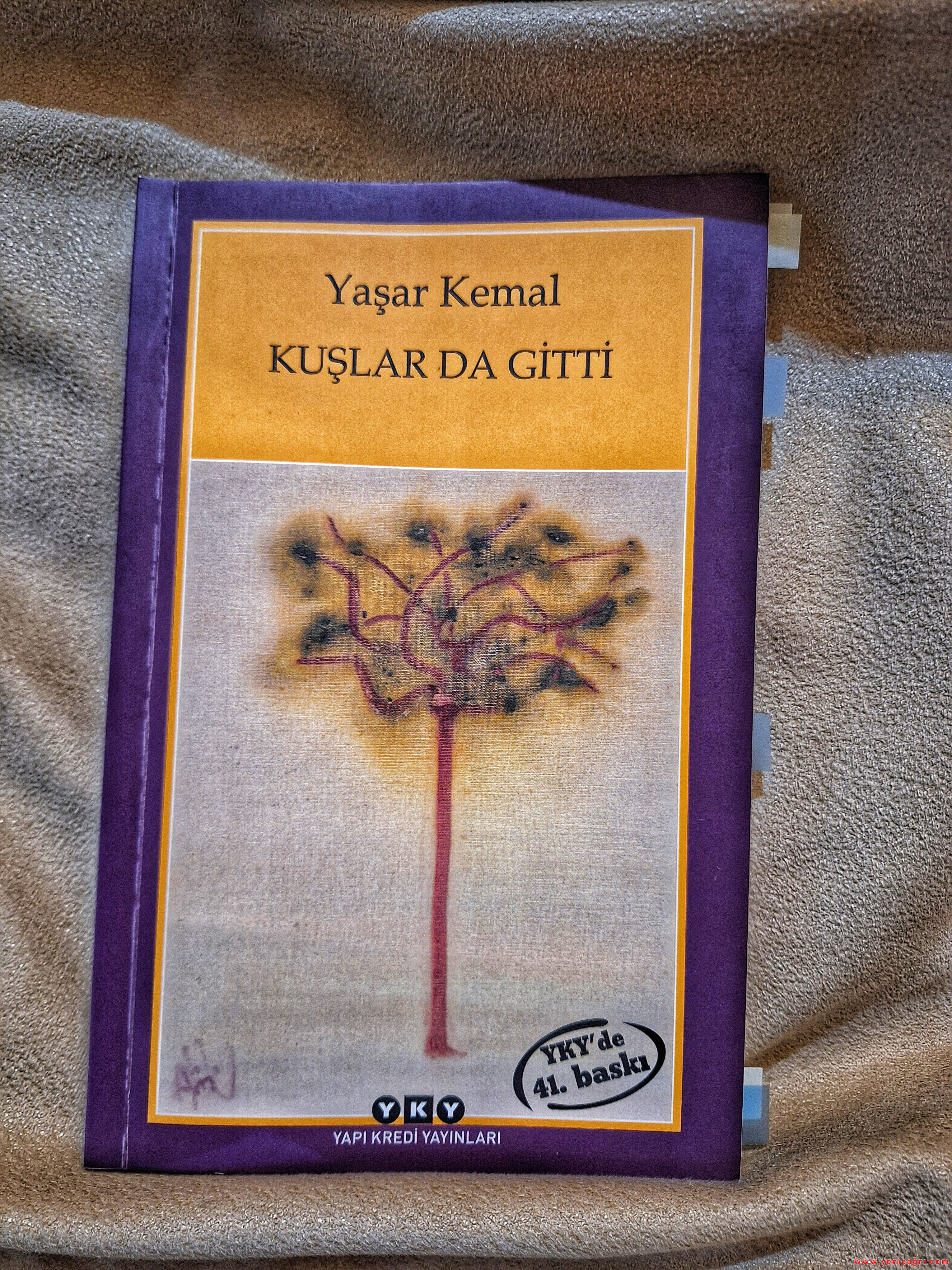 Kitap Resmi-22