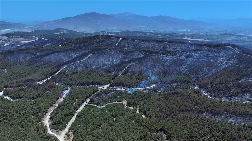 İzmir'de yanan orman alanı havadan görüntülendi