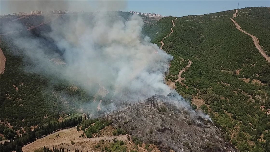 Kocaeli'de makilik ve ağaçlık alanda çıkan yangına müdahale ediliyor
