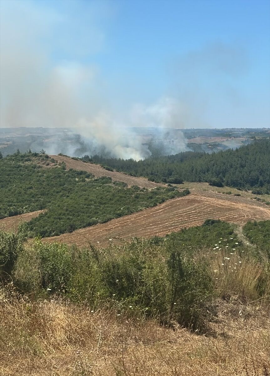 Adana'da park halindeki araçta çıkan yangın ormanlık alana sıçradı