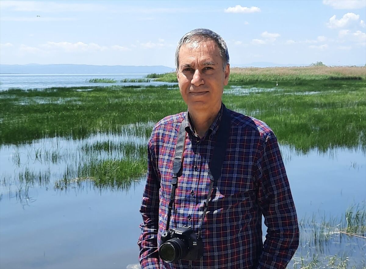 Marmara Denizi'nde ekosistemin onarılması için yeni yönetim planı hazırlanıyor