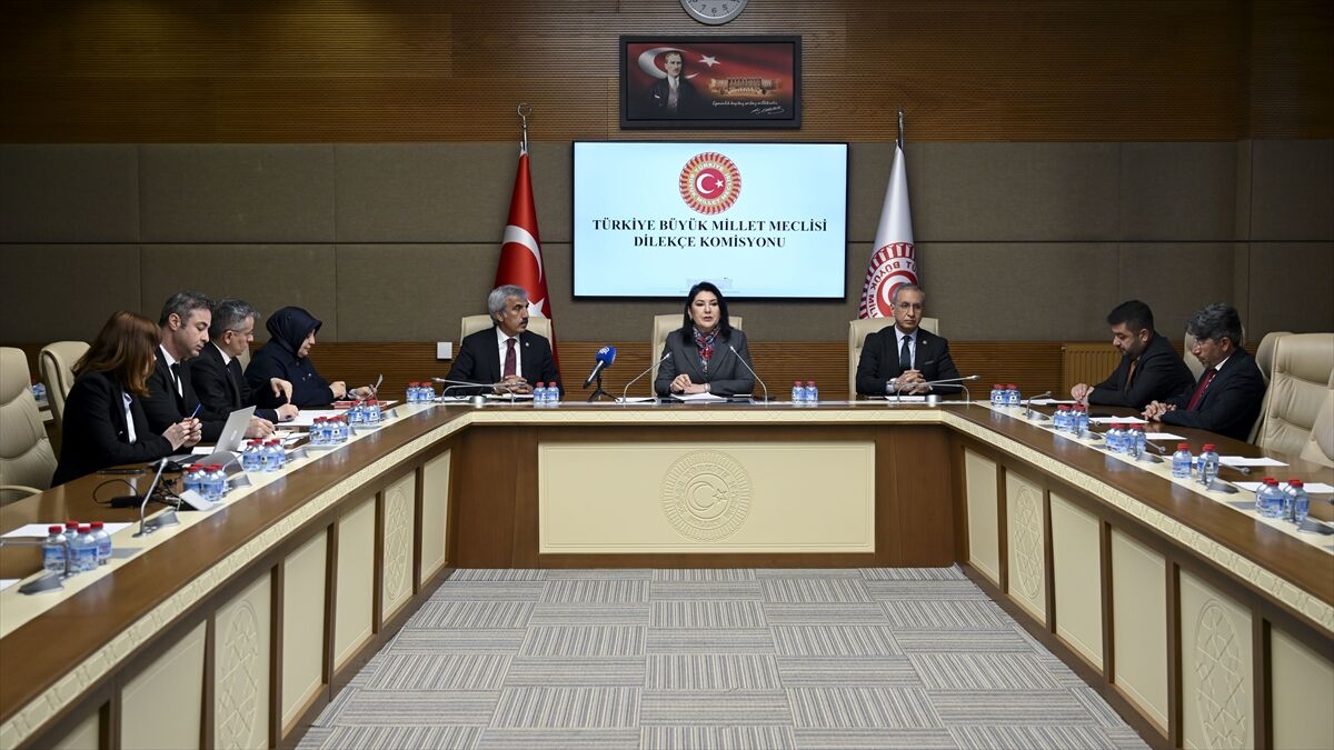 Meclise 'kadınlar da askere alınsın' başvurusu