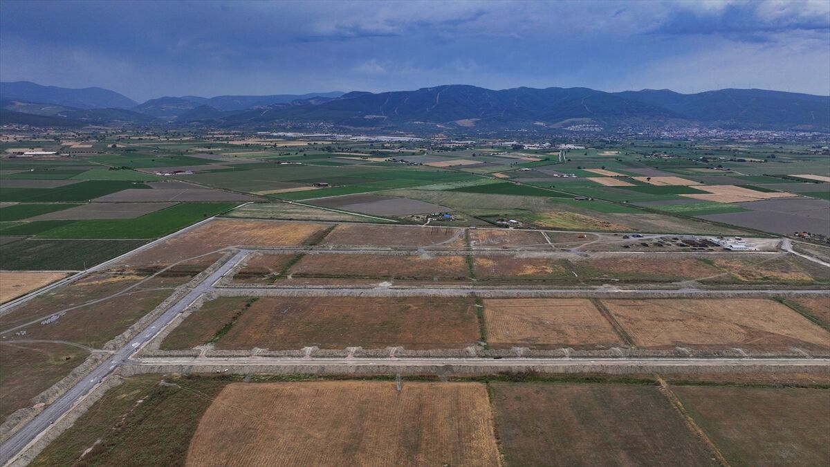 Türkiye'nin tıbbi ve aromatik bitkilerde 'ilk' ihtisas OSB'si 2027'de üretime geçecek