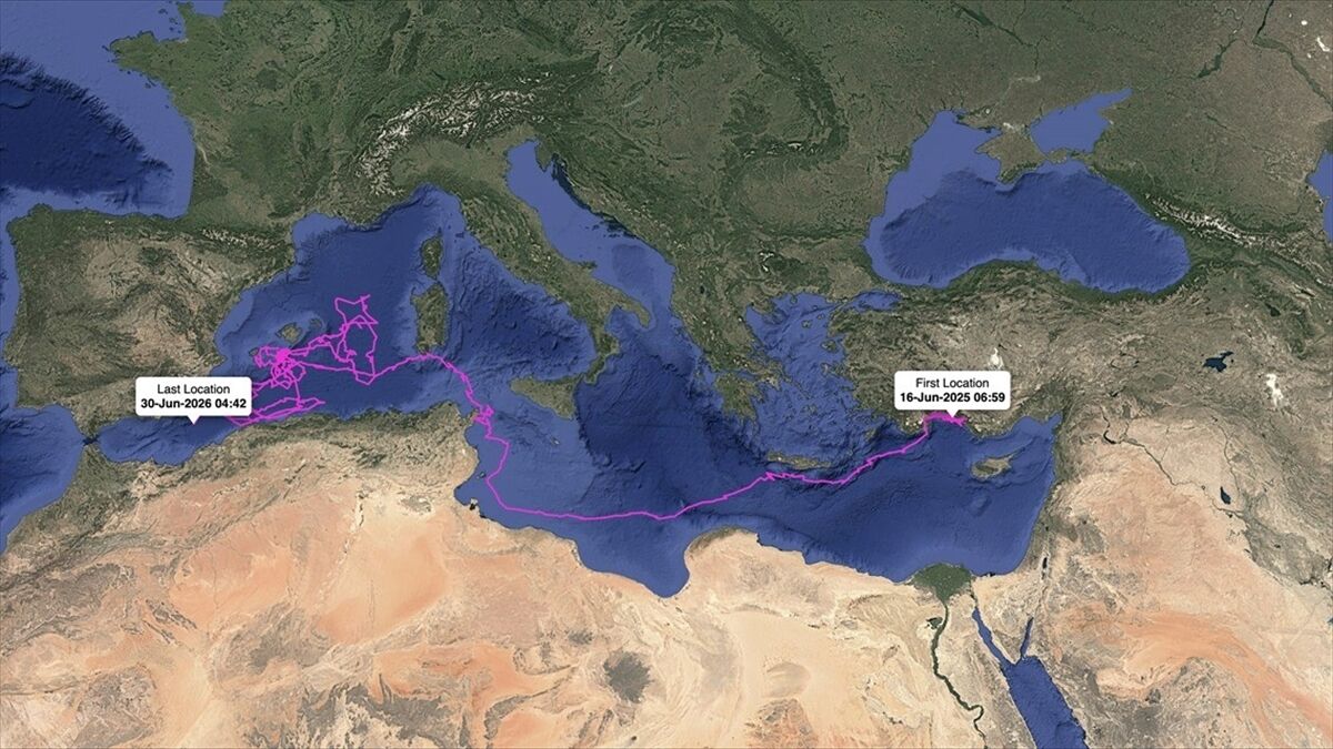 Uydudan izlenen 'Altın', 'Gümüş', 'Flora' ve 'Fauna' binlerce kilometre katetti