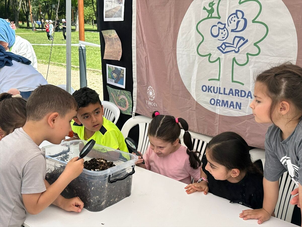 267 okul 'orman bayrağı' almaya hak kazandı