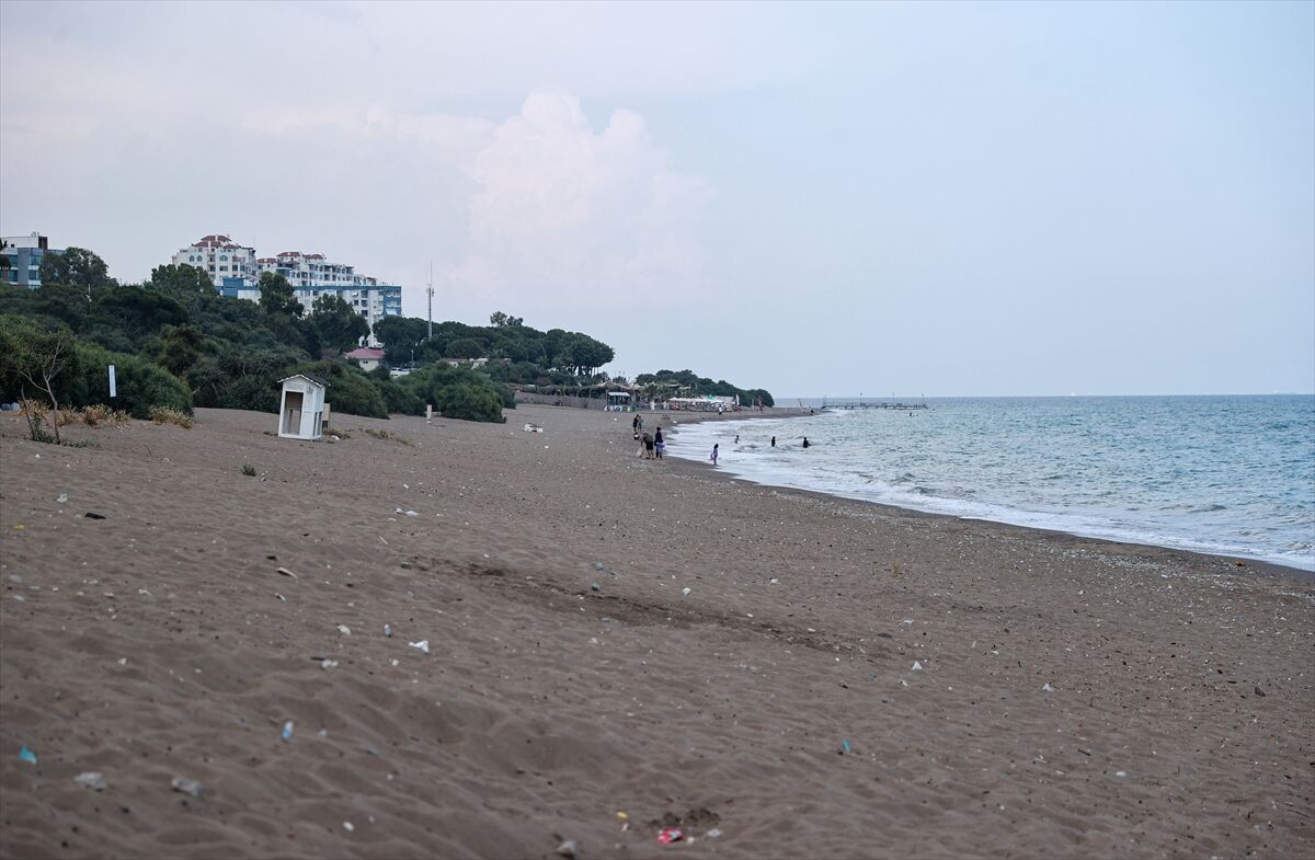 Anaç deniz kaplumbağaları Mersin sahillerine yumurta bırakmaya başladı