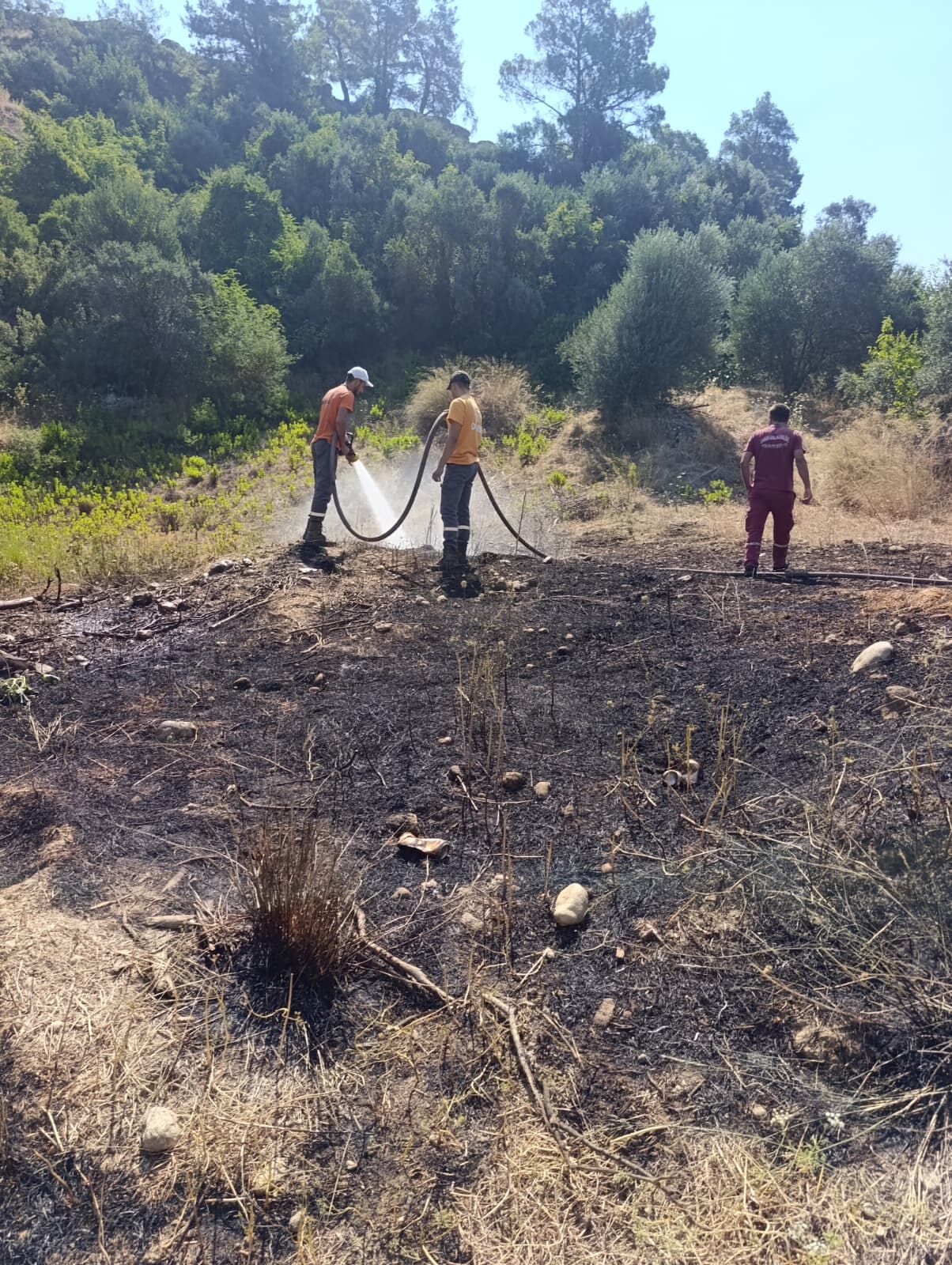 Antalya'da çıkan orman yangını söndürüldü