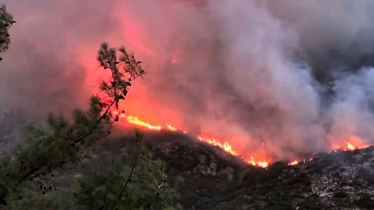 Antalya'nın Kaş ilçesinde orman yangını çıktı