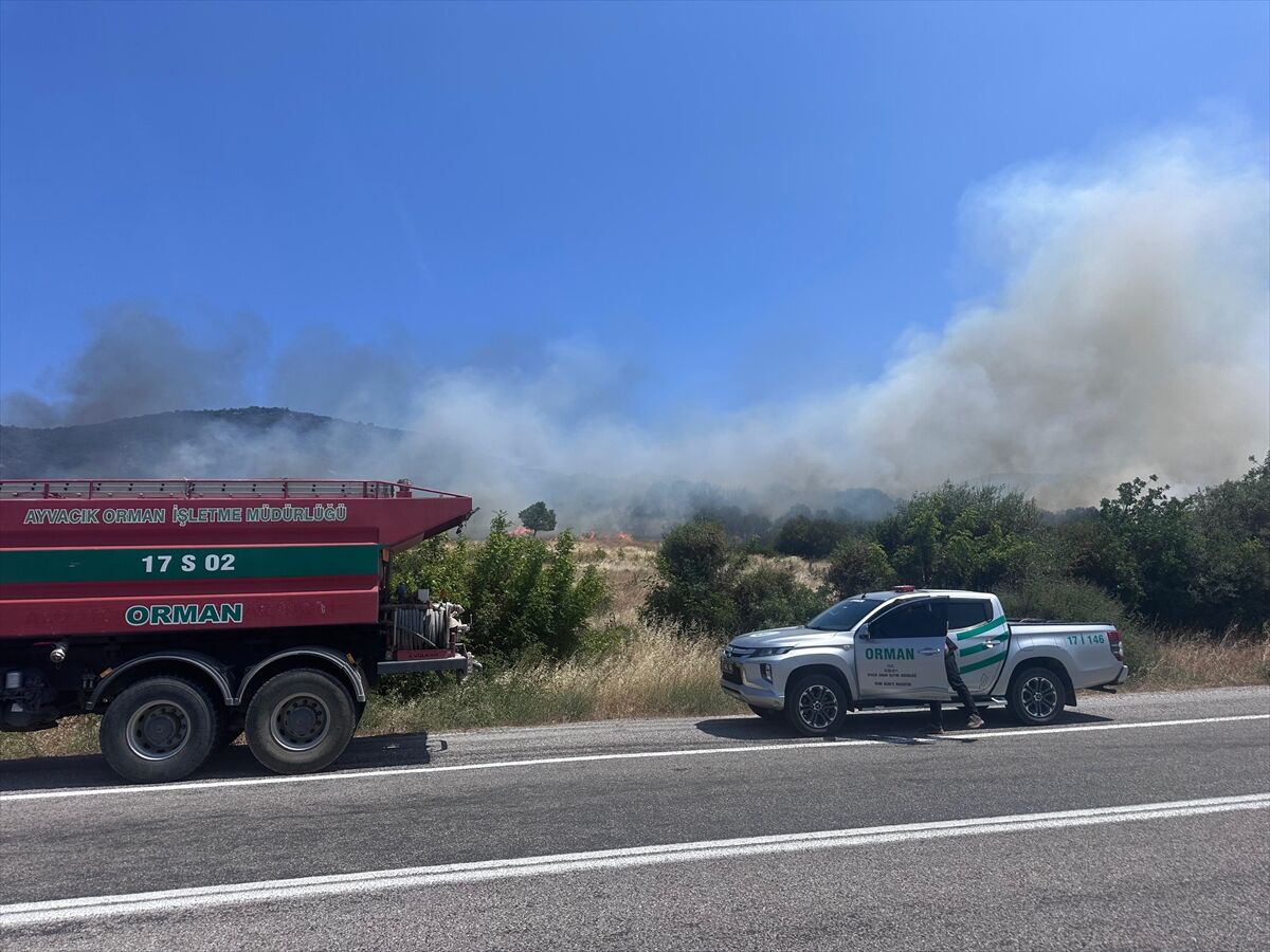 Çanakkale'de ormanlık alanda çıkan yangına müdahale ediliyor