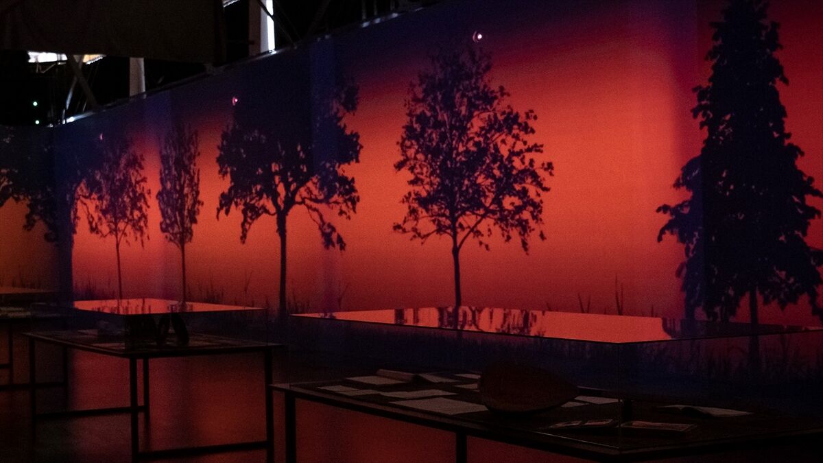 CerModern, İtalyan ve Fransız filmlerini açık hava sinemasında sunacak