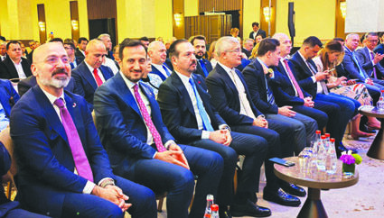 TÜRK DÜNYASI SİVİL TOPLUM DESTEK SİSTEMİ