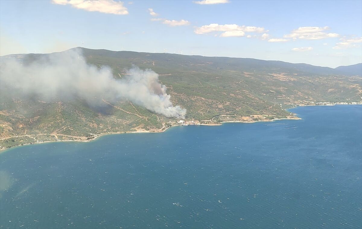 GÜNCELLEME 2 - Yalova'da çıkan orman yangını kontrol altına alındı