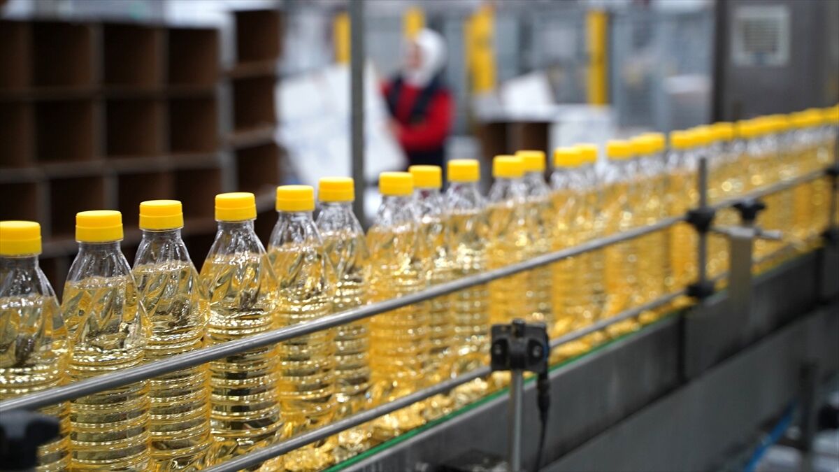 Güneydoğu Anadolu'nun hububat ihracatı 1,8 milyar doları aştı