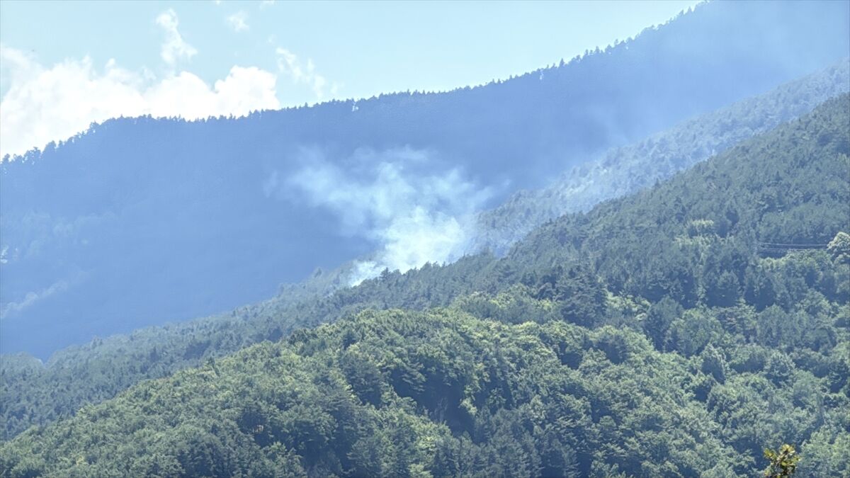 Karabük'te ormanlık alanda çıkan yangın kontrol altına alındı