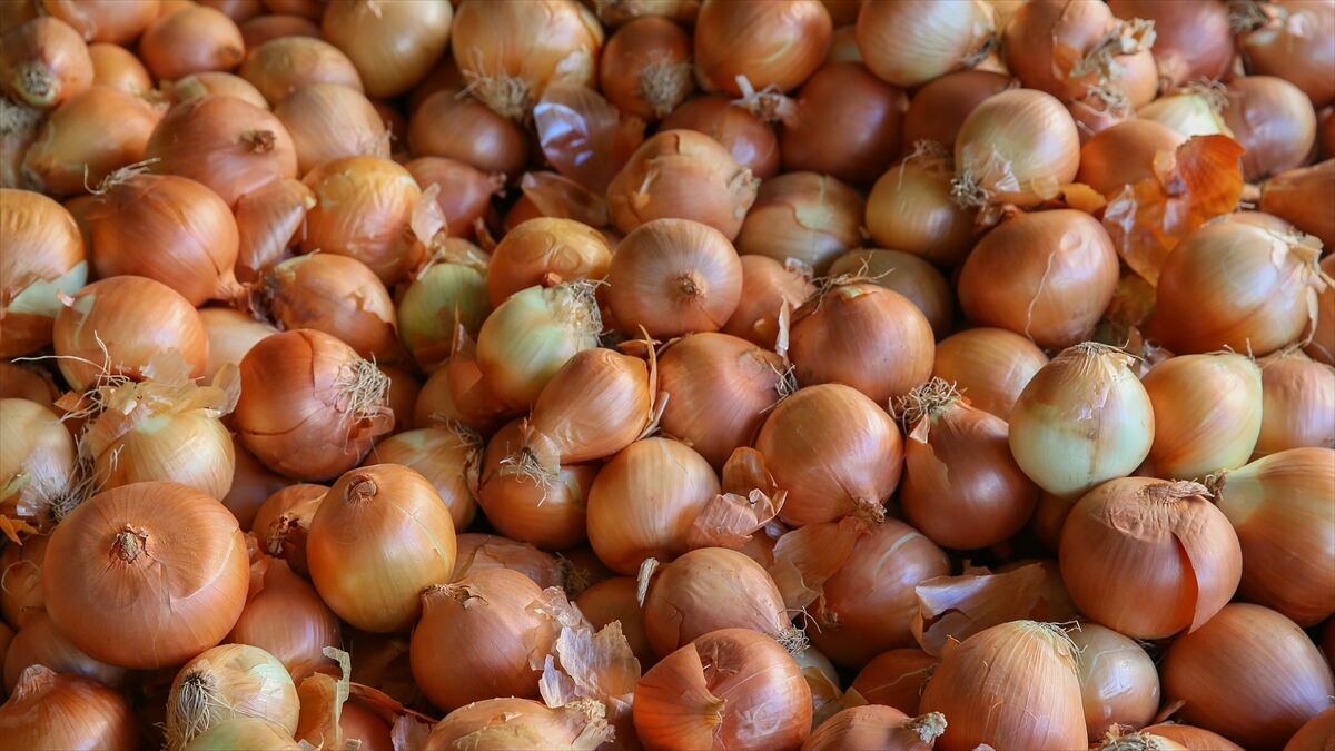 Kuru soğanda gümrük vergisi 31 Ağustos'a kadar yüzde 5'e indirildi