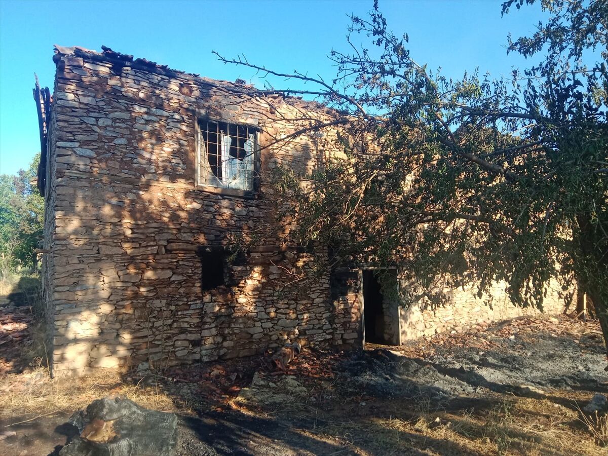 Malatya'da meyve bahçesinde çıkan yangında 2 ev zarar gördü