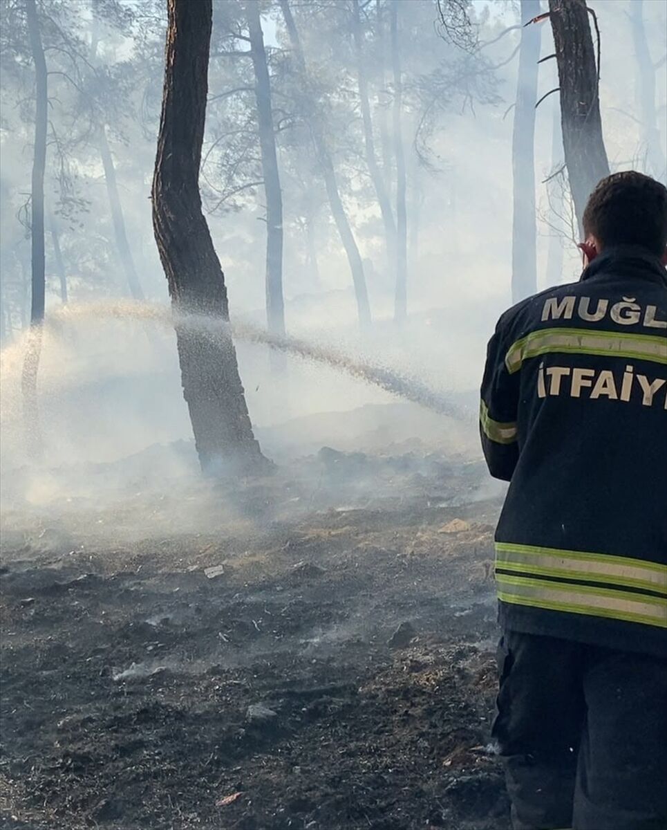 Ortaca'da ormanlık alanda çıkan yangına müdahale ediliyor