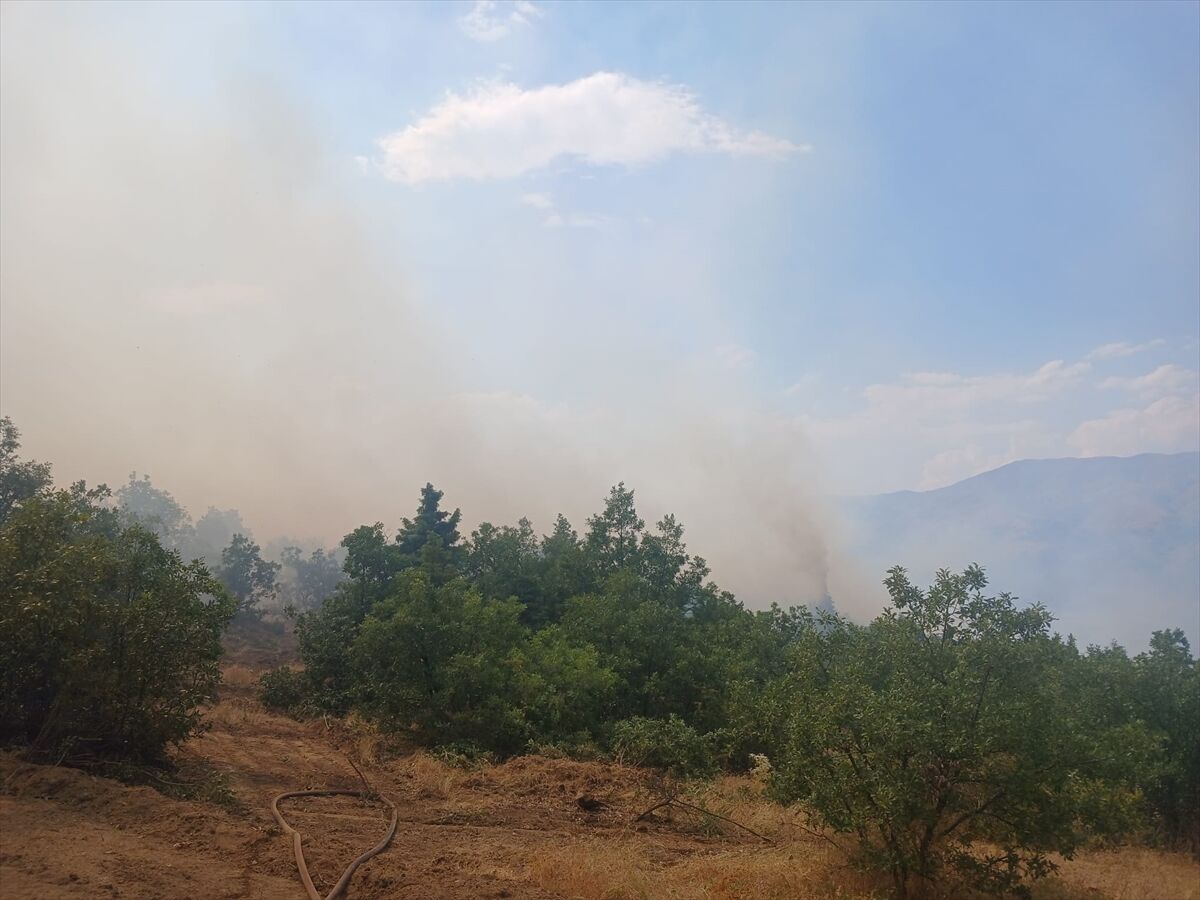 Pütürge'de çıkan orman yangınına müdahale ediliyor