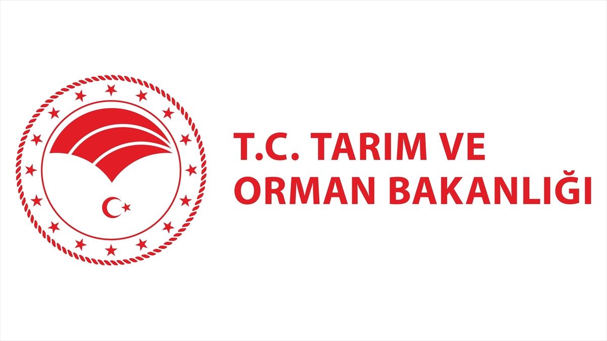 Tarım ve Orman Bakanlığı rafine yağlarda bulaşanların azaltılmasına yönelik 'uygulama kılavuzu' hazırladı