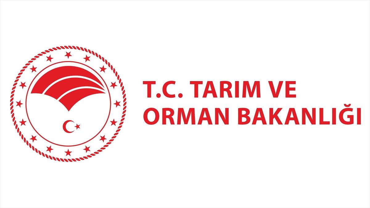 Tarım ve Orman Bakanlığı: Tarımsal üretimi tehdit eden herhangi bir çekirge istilası tespit edilmemiştir