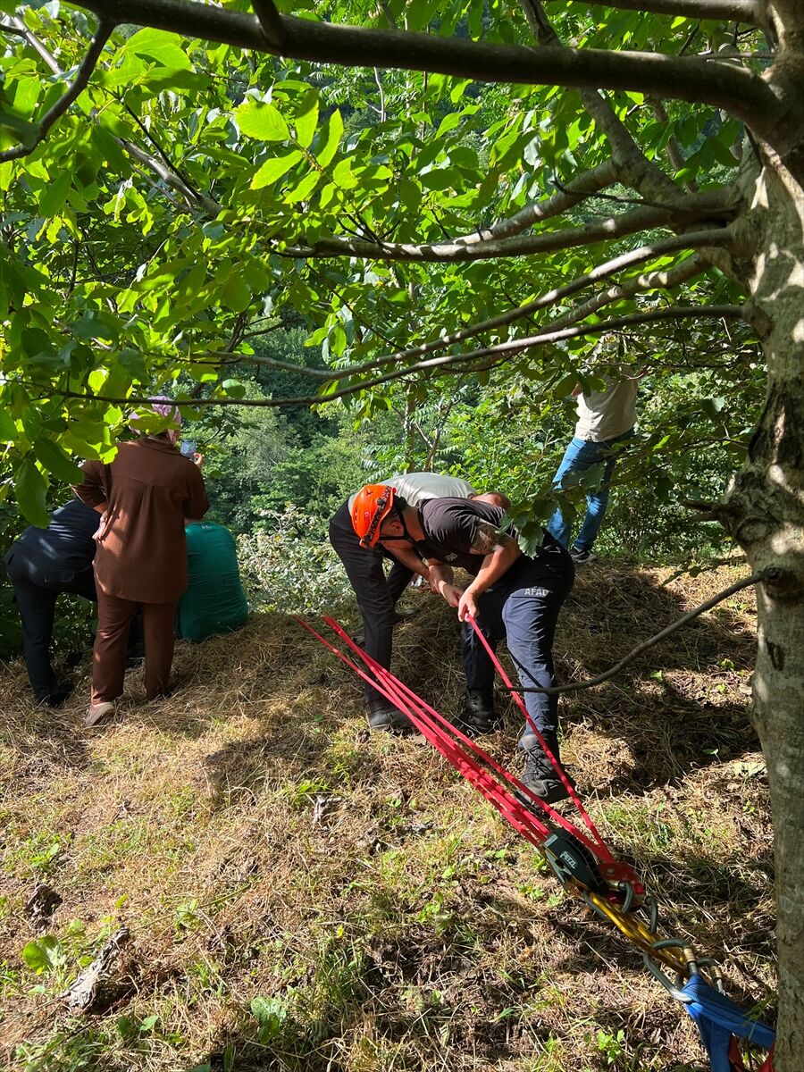 Trabzon'da yamaçtan yuvarlanan inek kurtarıldı
