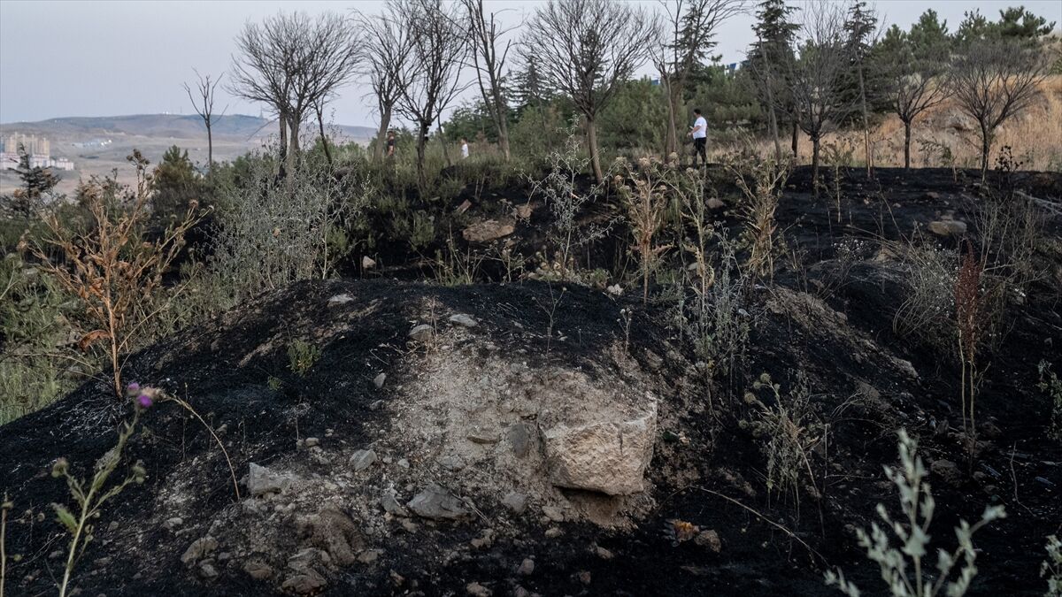 Ankara'da 2 ayda otluk ve ekili alanlarda 2 bin 242 yangın çıktı