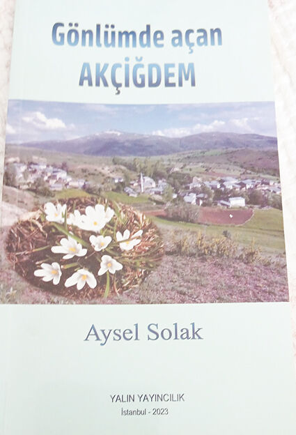 Aysel