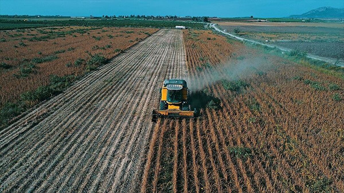 Çiftçilerin hesaplarına 195,6 milyon lira tarımsal destekleme ödemesi aktarılıyor