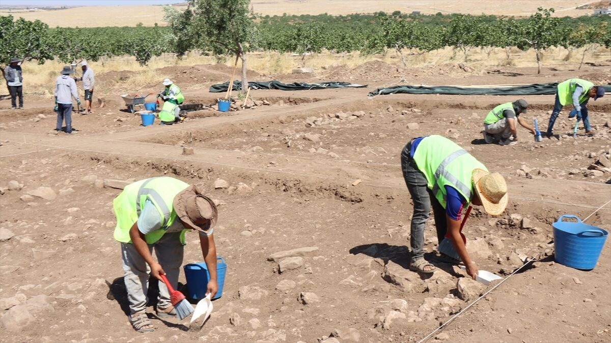 Çin'in Türkiye'deki ilk kazı projesi Şanlıurfa'daki Yoğunburç'ta yürütülüyor