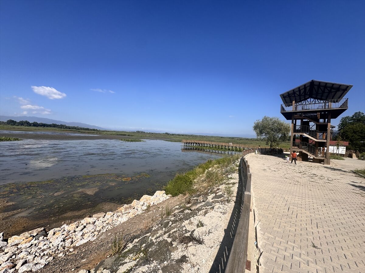 Efteni Gölü Kuş Cenneti hafta sonunda doğaseverleri ağırladı